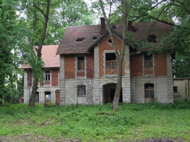 naj1019.jpg
