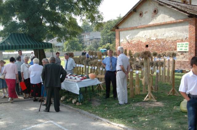 zbozaugr.jpg