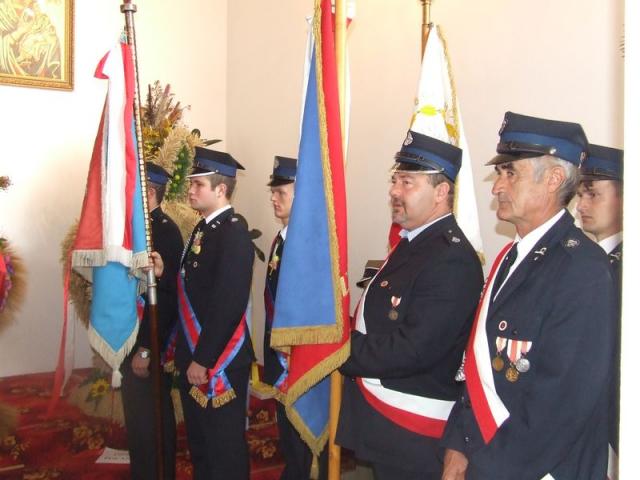 dz7p3582.jpg