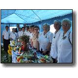 Gminne Dożynki 2008 