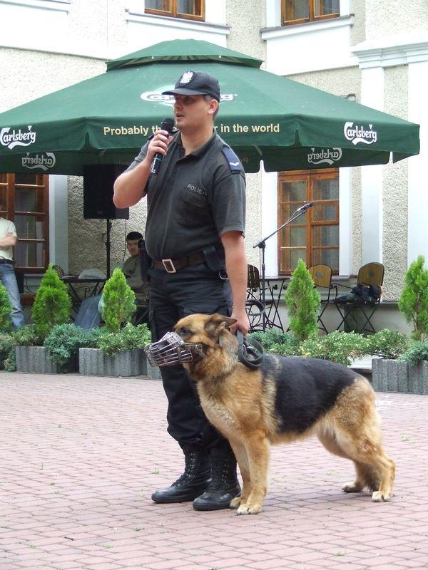 dscf2146.jpg