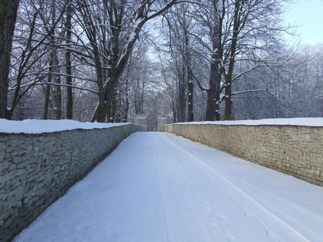 ktl_dscf3929.jpg