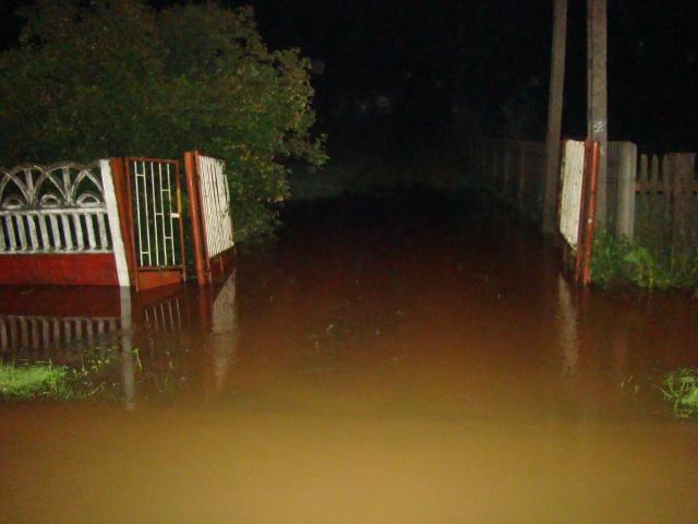 dsc09091.jpg